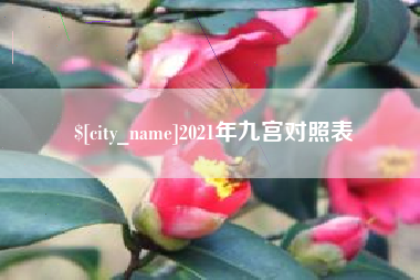 四川2021年九宫对照表