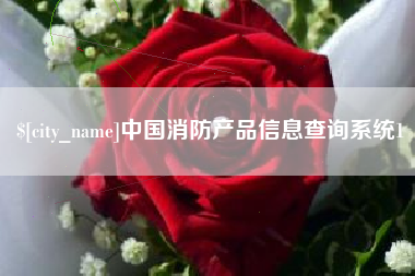 四川中国消防产品信息查询系统1
