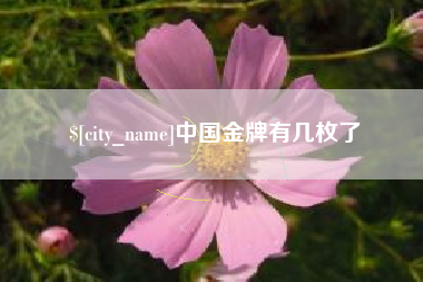 四川中国金牌有几枚了