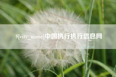 四川中国执行执行信息网