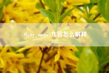 四川九宫怎么解释
