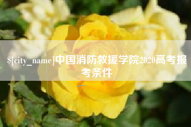 四川中国消防救援学院2020高考报考条件