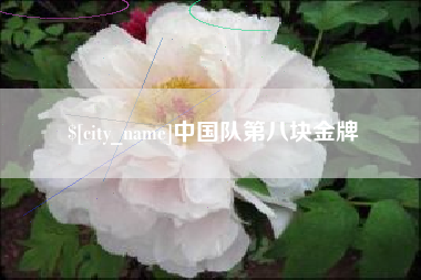 四川中国队第八块金牌