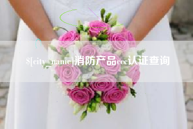 四川消防产品ccc认证查询