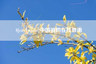 四川中国消防在线查询
