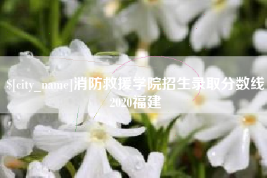 四川消防救援学院招生录取分数线2020福建