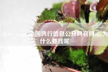 四川中国执行信息公开网官网app为什么要钱呢