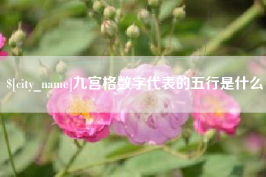 四川九宫格数字代表的五行是什么