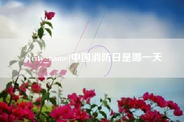 四川中国消防日是哪一天