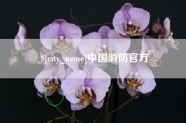 四川中国消防官方