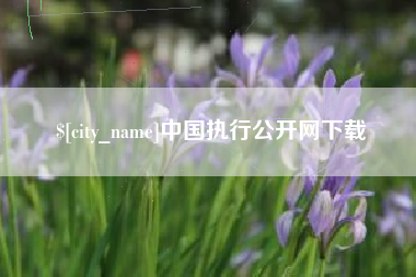 四川中国执行公开网下载