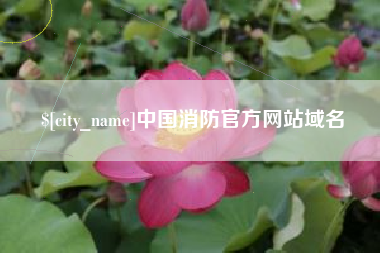 四川中国消防官方网站域名