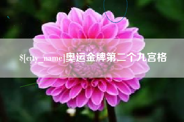 四川奥运金牌第二个九宫格