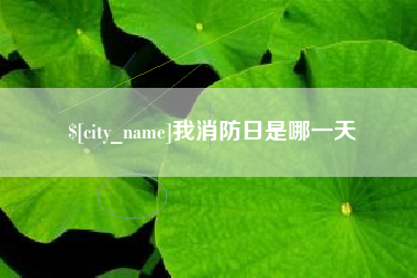 四川我消防日是哪一天