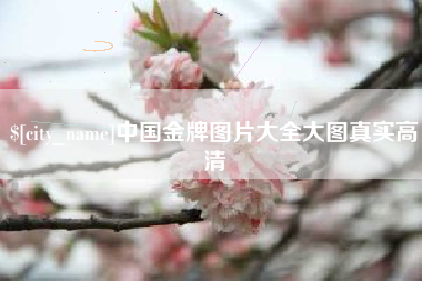 四川中国金牌图片大全大图真实高清