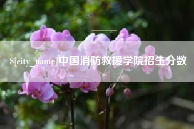 四川中国消防救援学院招生分数