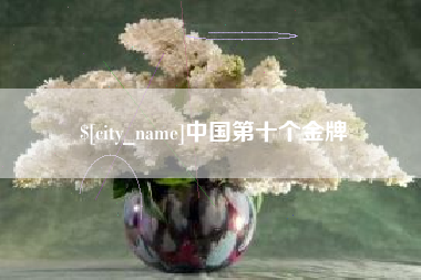 四川中国第十个金牌