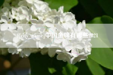 四川中国金牌有哪些2021