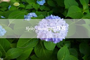 四川2022九宫