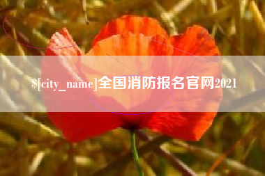 四川全国消防报名官网2021