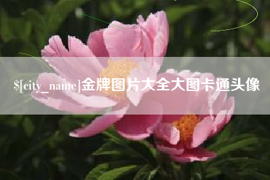 四川金牌图片大全大图卡通头像