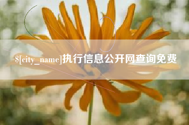四川执行信息公开网查询免费