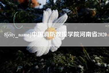 四川中国消防救援学院河南省2020